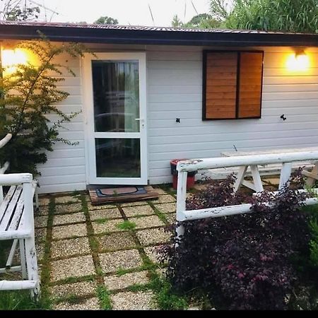 Oasi Di Francesca B&B Pontinia Екстериор снимка