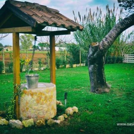 Oasi Di Francesca B&B Pontinia Екстериор снимка