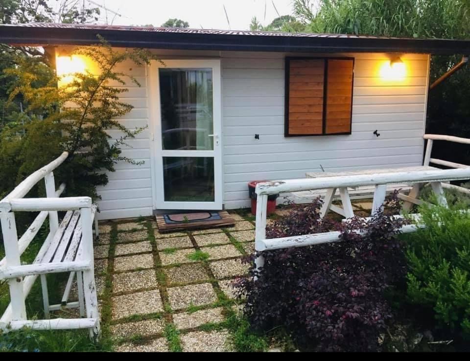 Oasi Di Francesca B&B Pontinia Екстериор снимка