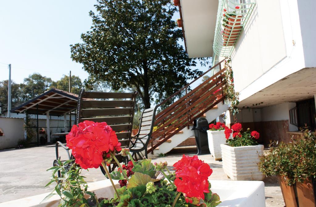 Oasi Di Francesca B&B Pontinia Стая снимка